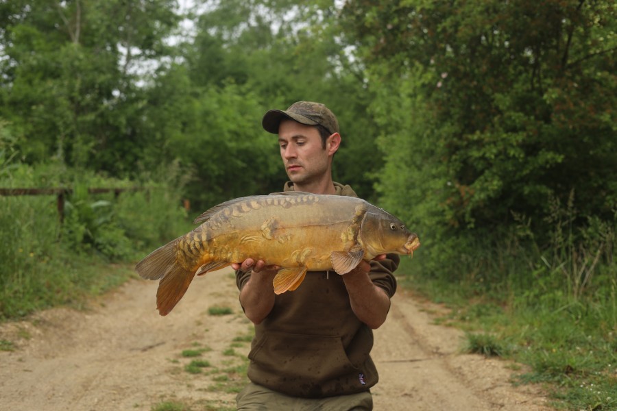 Micheal Dunne - Bachelier's - 16lb - 10/05/2025