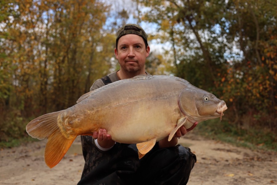 Steve Tillett, 36lb 8oz, Tea Party 2, 25/10/2025