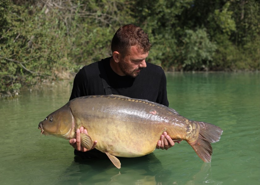 Danny - 56lb - Bacheliers - 18/07/2026