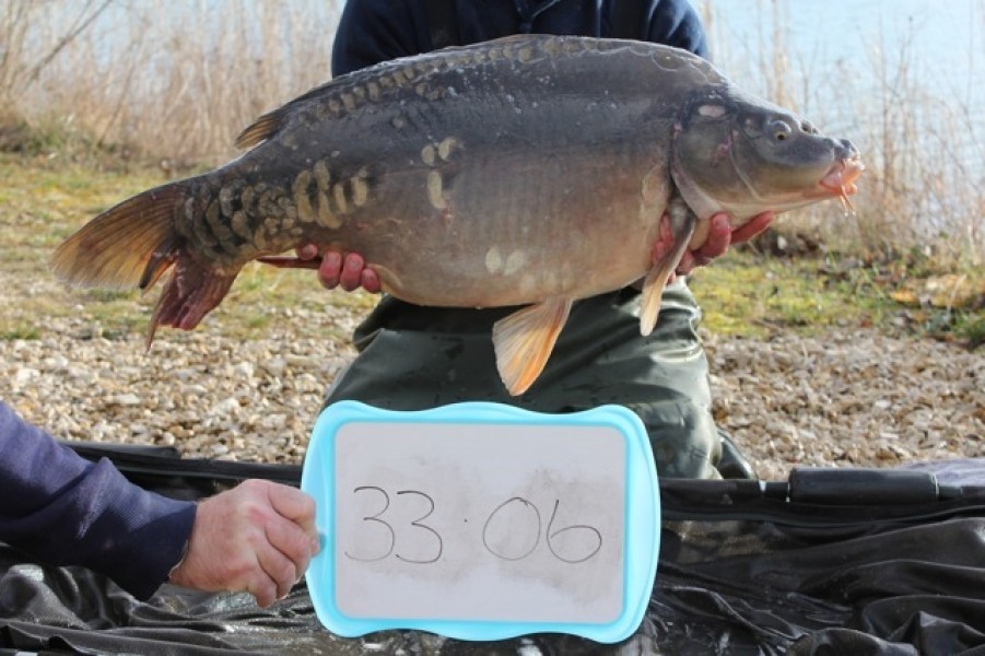 Fish 36 - Stocked at 33lb 6oz