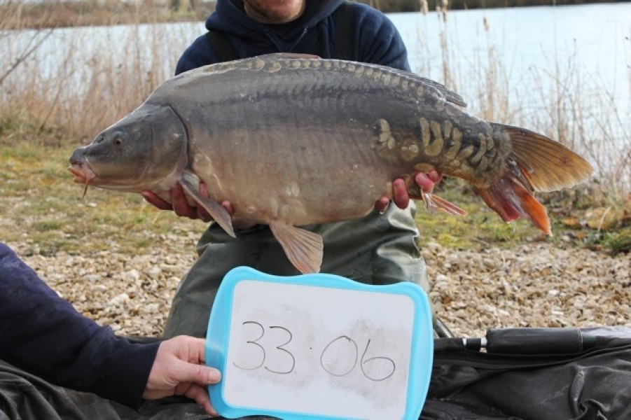 Fish 36 - Stocked at 33lb 6oz