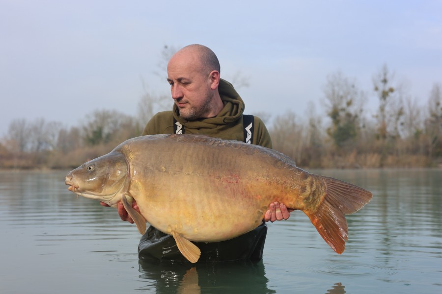 Gino - 54lb - Dunkerque - 15/11/2025