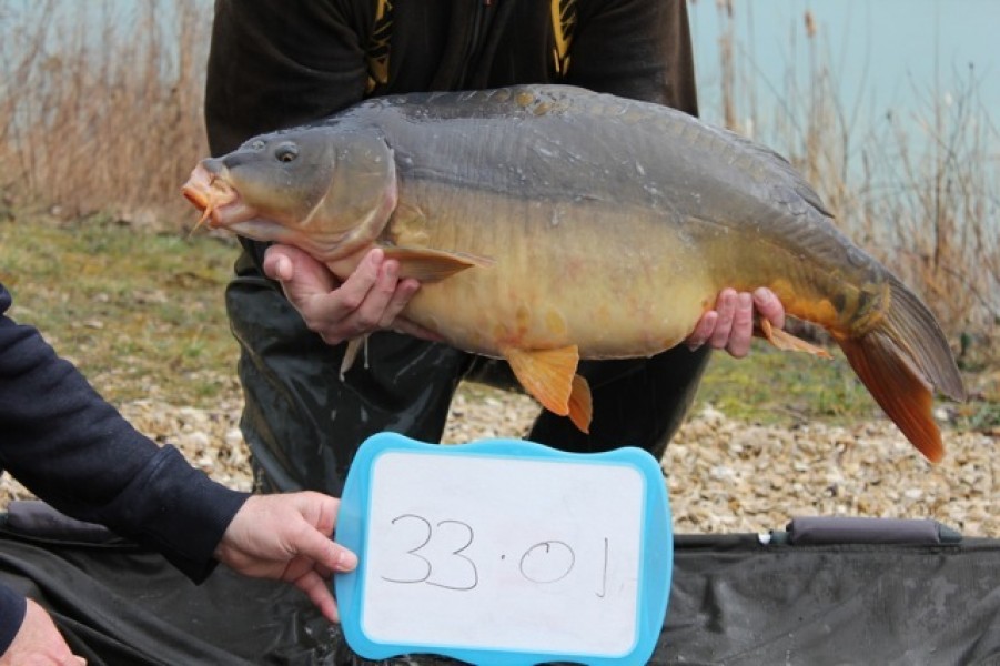 Fish 62 - Stocked at 33lb 1oz