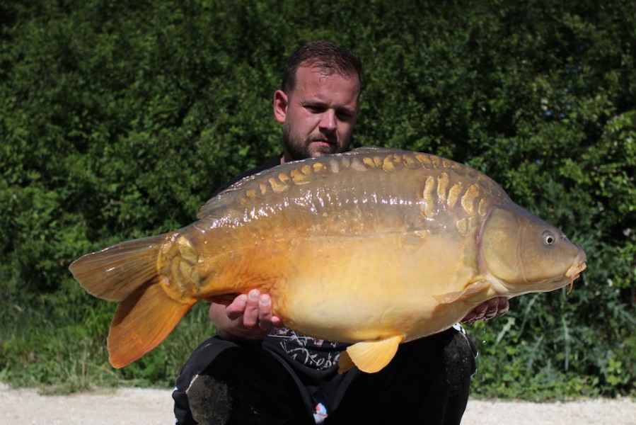 The sergeant 35lb From Tea Part1 13.5.17