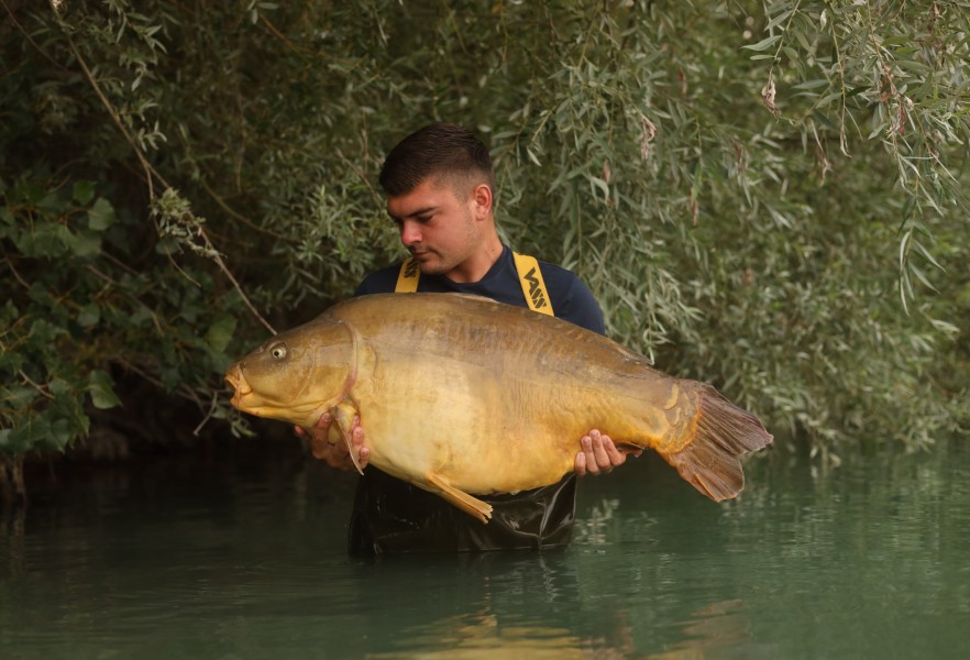 Rhys Richardson, 50lb 2oz, Turtles Corner, 16/08/2025