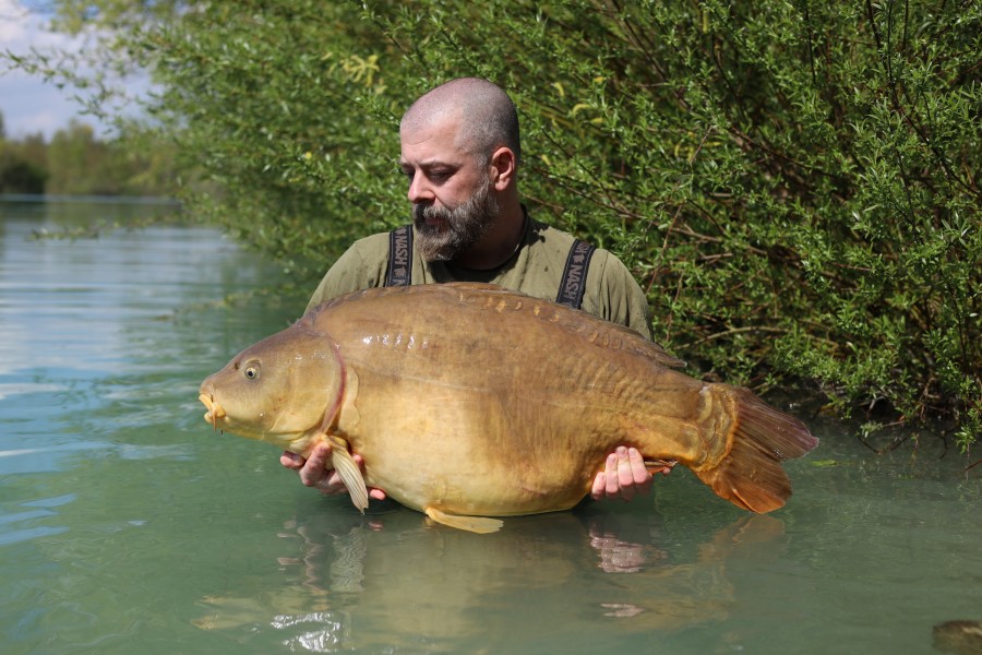 lee - Turtles Corner 50lb 4oz - 11/03/2026