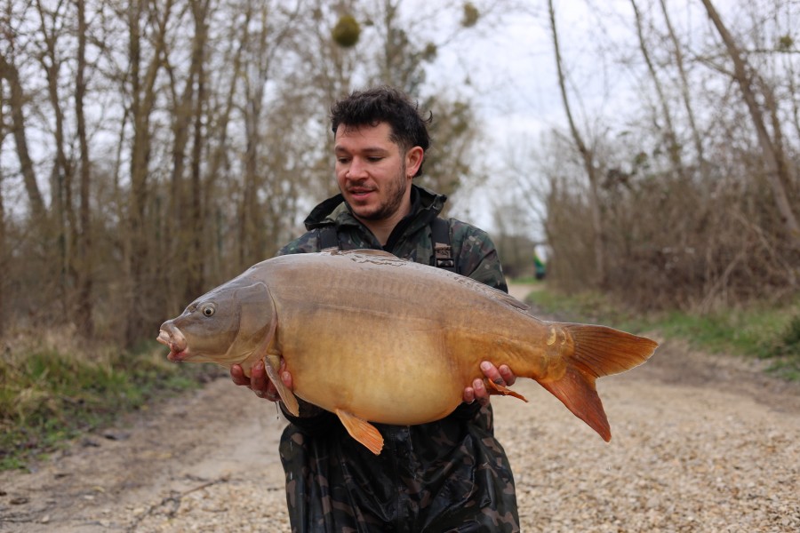 Tom Harding - 38lb 4oz - Tea Party 2 - 07/03/2026