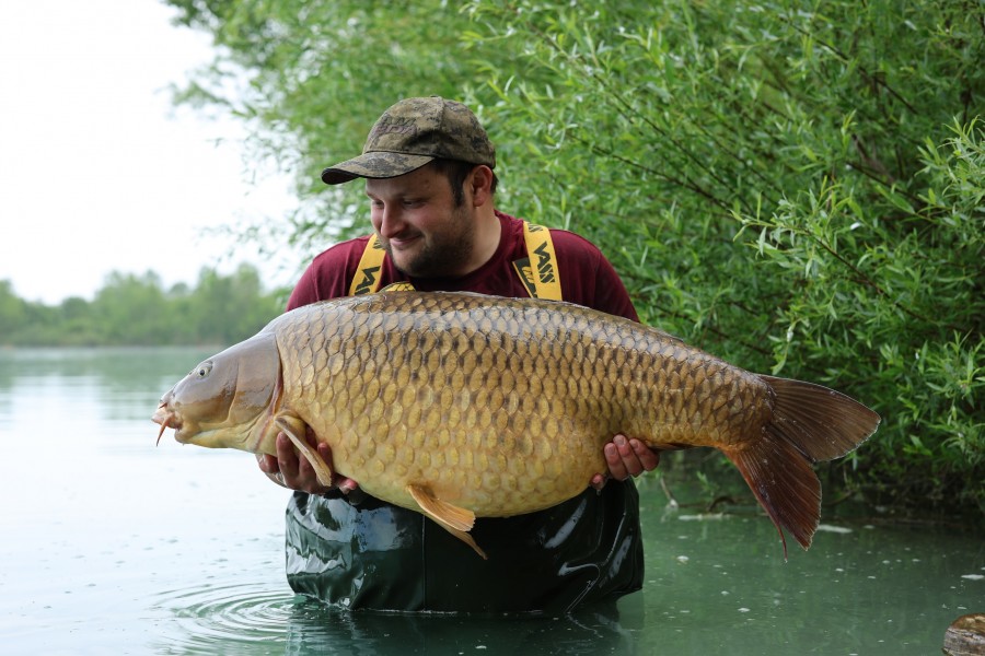 Jack Budd - 50lb - Turtle's Corner - 09/05/2026