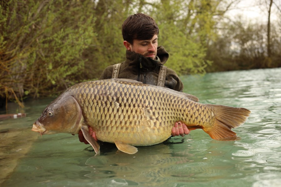 Wade Kennerey - Turtles - 50lb - 21/03/2026