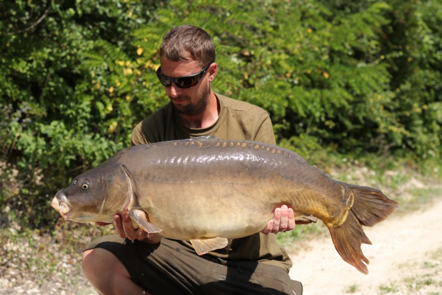 Andy Norris - 29lb - Birches - 07/08/2021