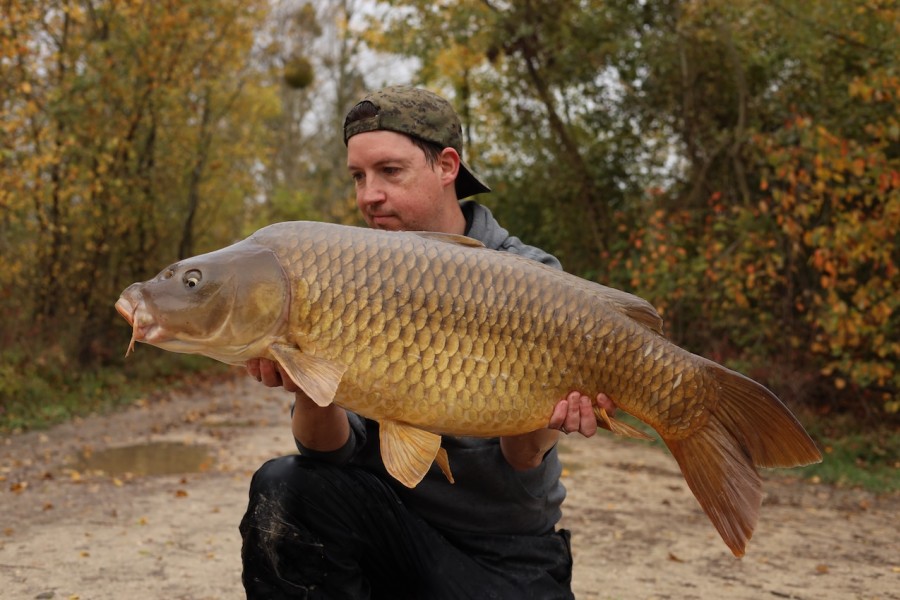 Steve Tillett, 36lb, Tea Party 2, 25/10/2025