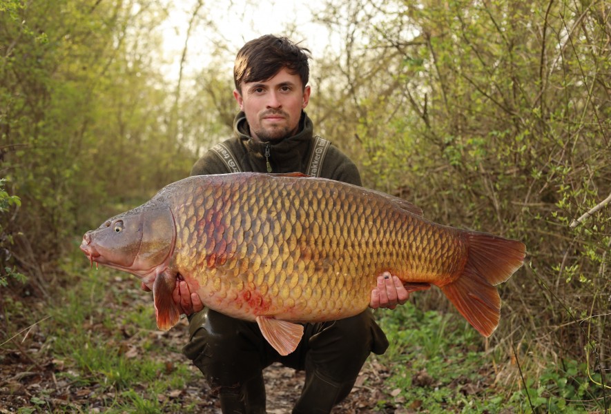 Wade Kennerley - Turtles - 44lb 12oz - 21/03/2026