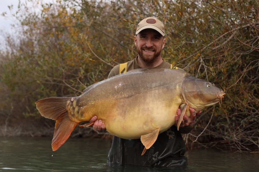 Josh Cook, 53lb 4oz, Shingles, 25/10/2025