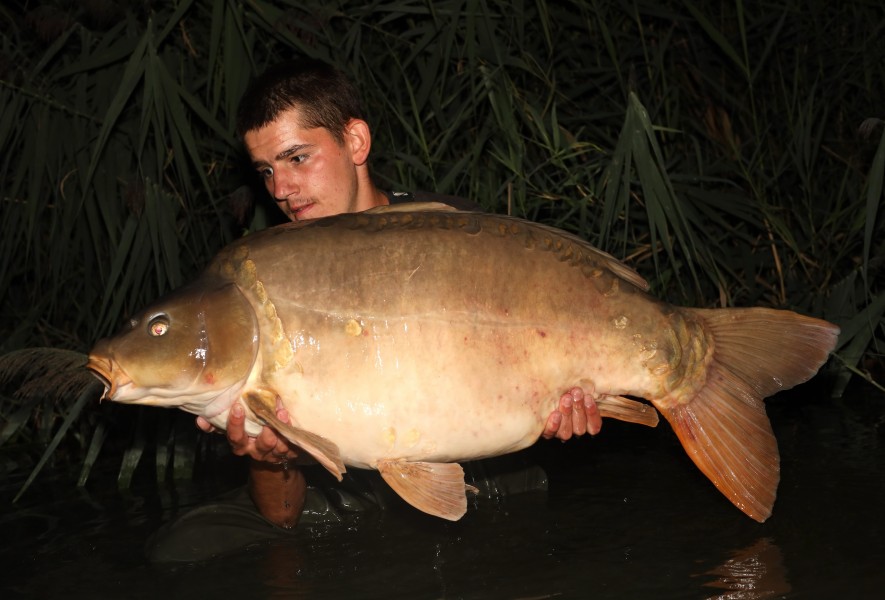 Leo Donald, 50lb 10oz, Bachelier's, 16/08/2025