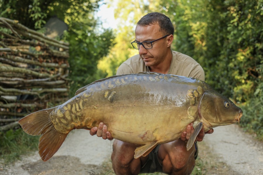 Lee Berry, 36lb 10oz, Decoy, 28/06/2025