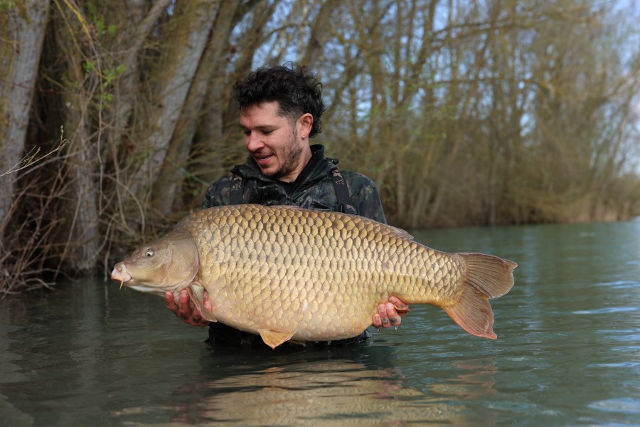 Tom Harding - 51lb 10oz - Tea Party 2 - 07/03/2026