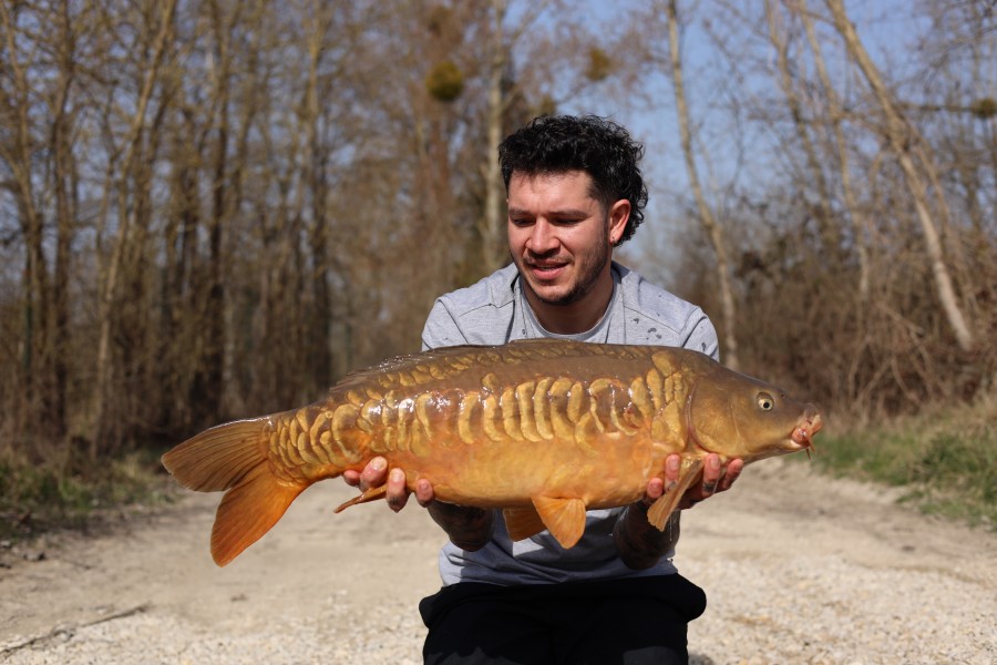 Tom Harding - 23lb - Tea Party 2 - 07/03/2026