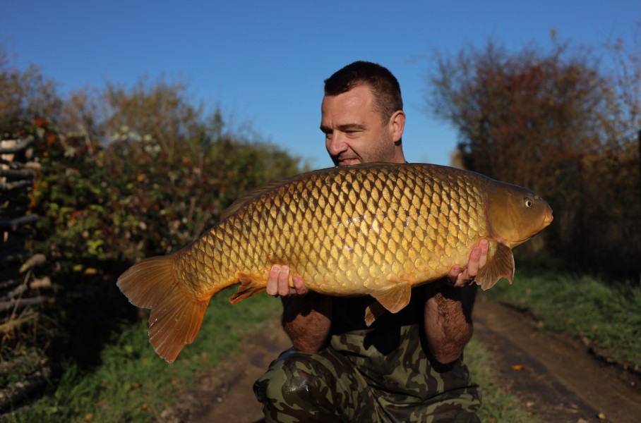 Craig Beardsley - Shingles - 32lb - 01/11/2025