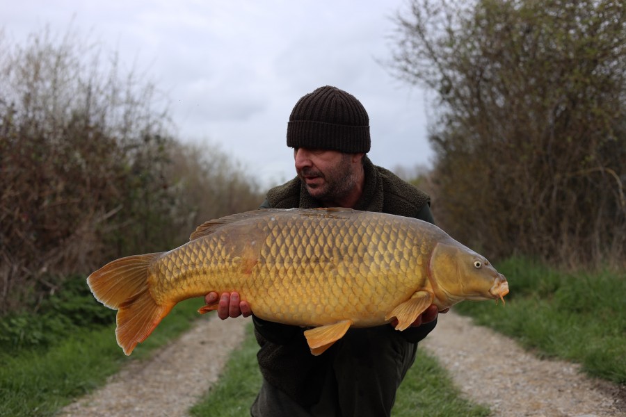 Jason Shroder - 31lb - Shingles - 21/03/2026