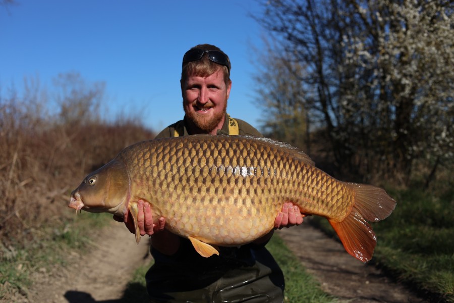 Greg Mabbett - Turtles - 49lb - 15/08/2025