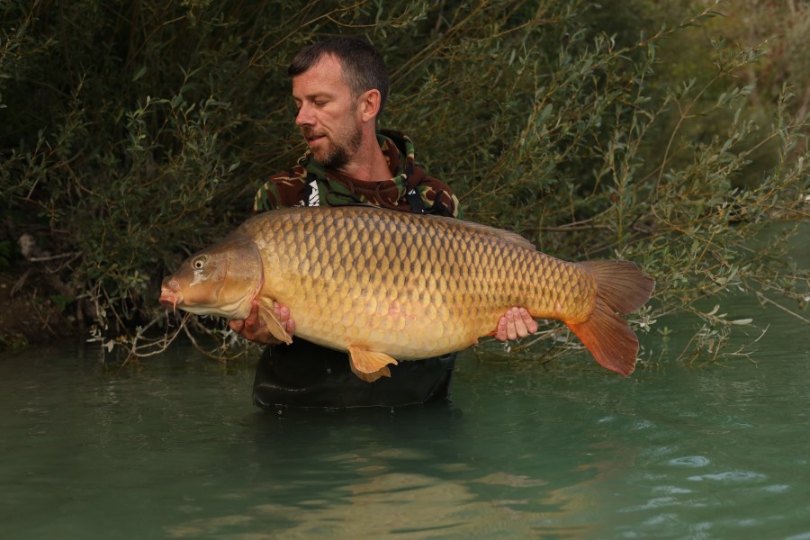 Chris Foulis - 47lb 8oz - The Decoy - 30/08/2025