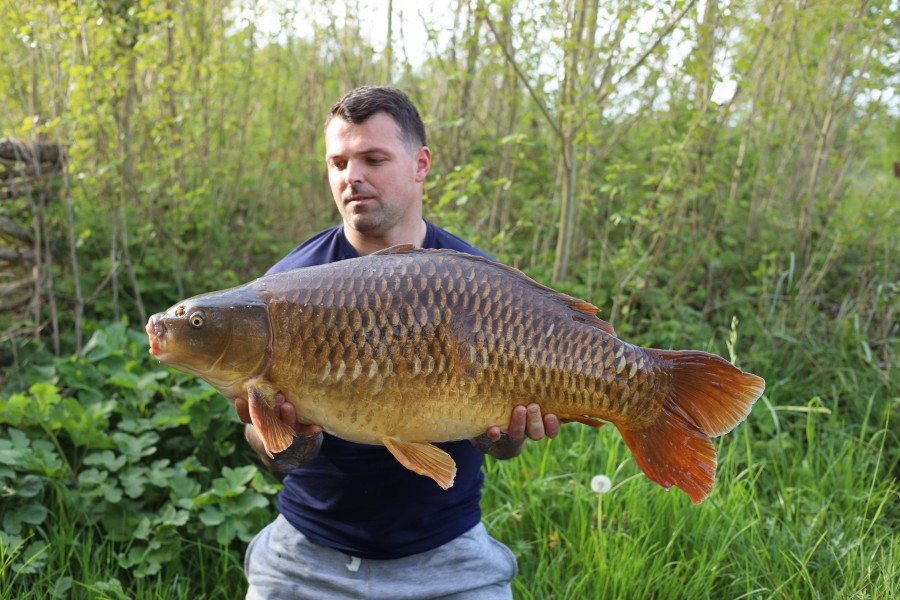 Josh Ratford - Turtles Corner - 34lb - 18/04/2026
