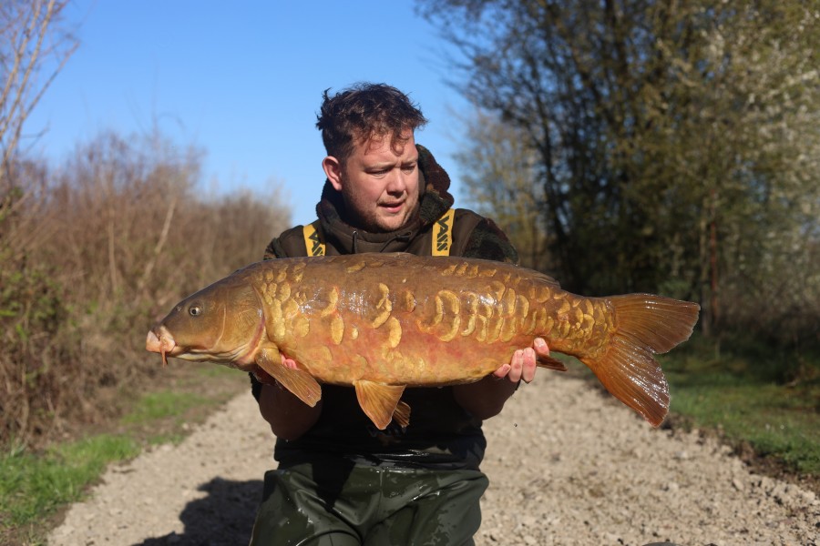 George Dengate - 31lb 8oz - Turtle's Corner - 07/03/2026