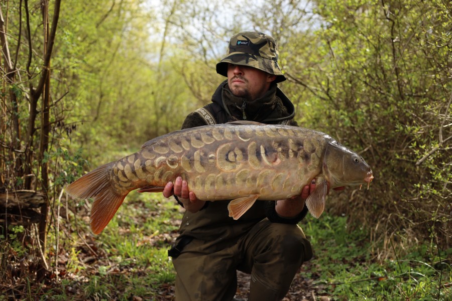 Wade Kennerey - Turtles - 28lb - 21/03/2026