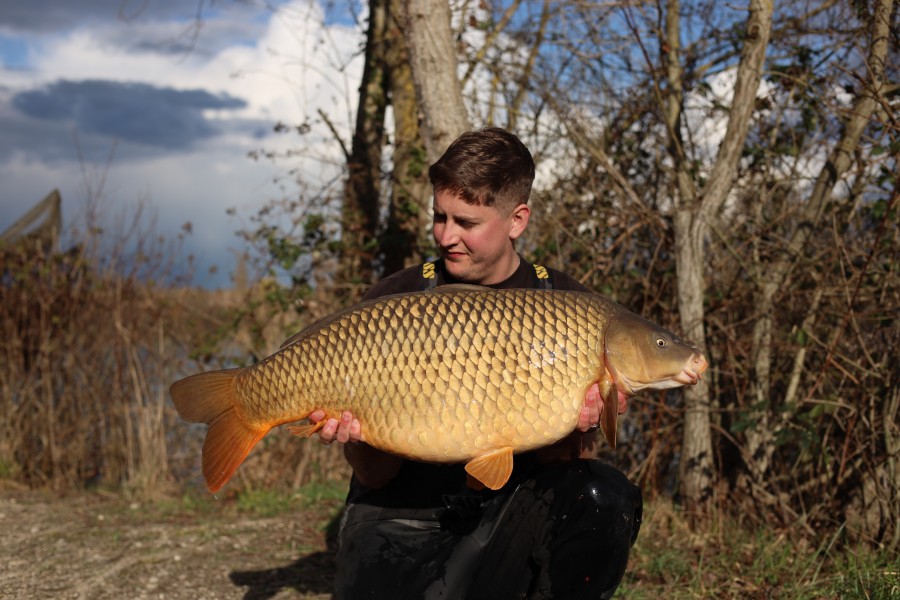 Mike Hare - 33lb 8oz - Tea Party 1 - 07/03/2026