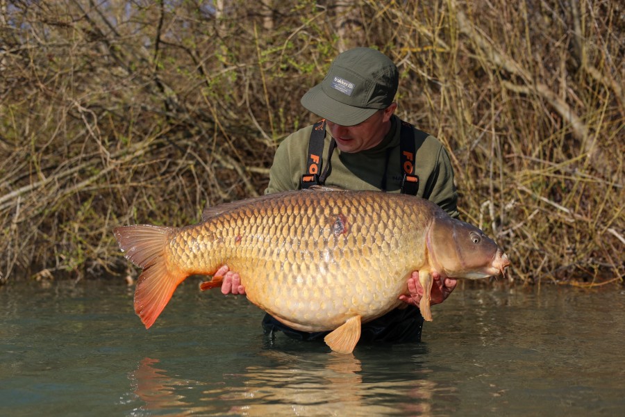 Lee Darby - 52lb 8oz - Tea Party 2 - 21/03/2026