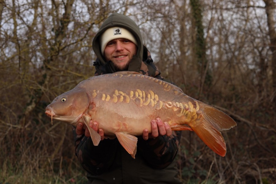 Nick Woof, 16lb, Bachelier, 17/01/2026