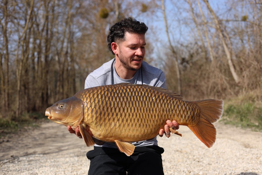 Tom Harding - 31lb 10oz - Tea Party 2 - 07/03/2026