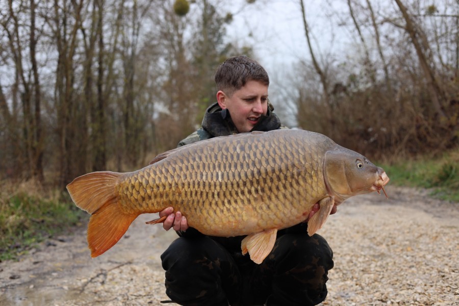 Mike Hare - 41lb - Tea Party 1 - 07/03/2026