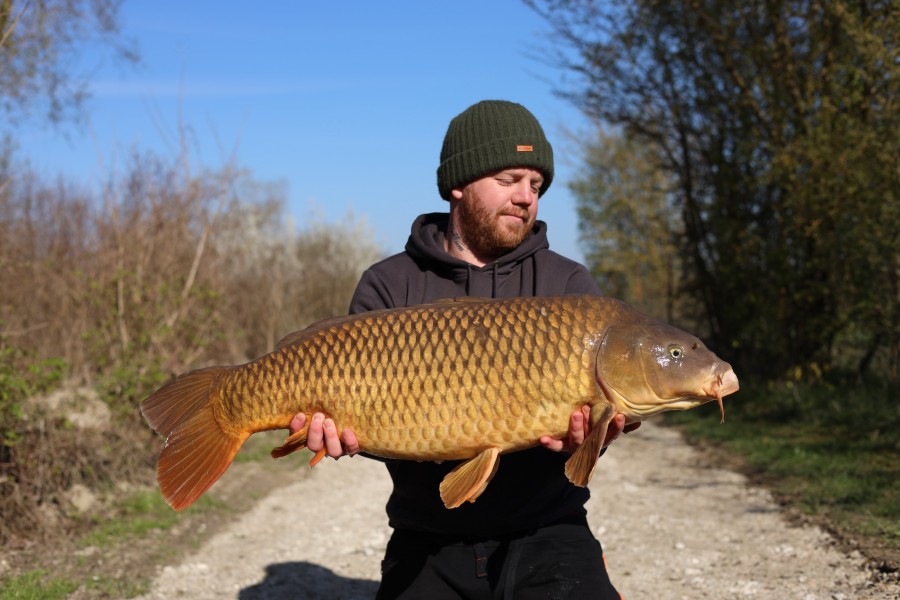Ben Rix - 37lb 2oz - Turtle's Corner - 21/03/2026