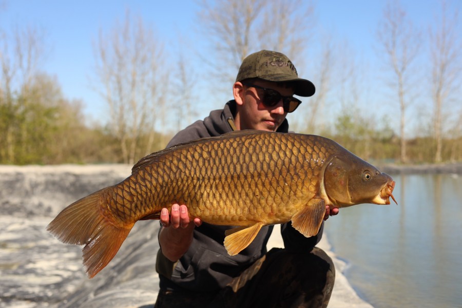 Leo Donald - 20lb