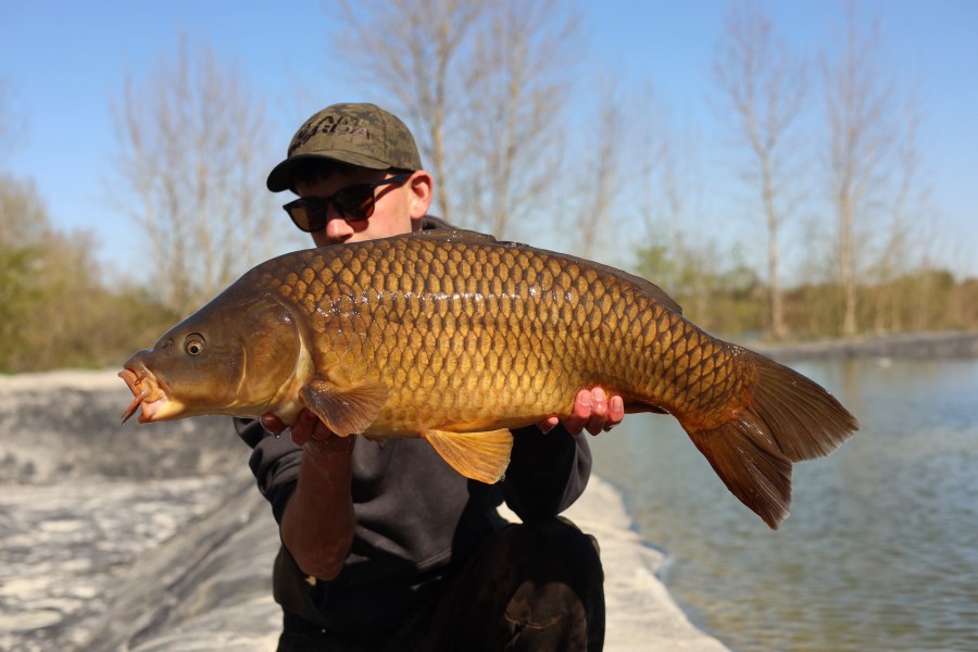 Leo Donald - 20lb