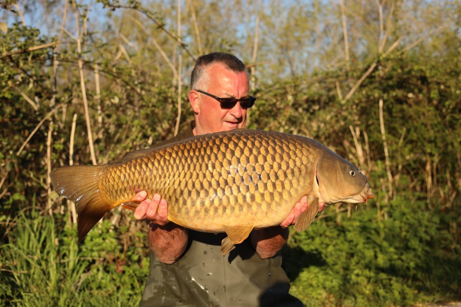 Ian Ockwell - 31lb - Shingles - 05/04/2025