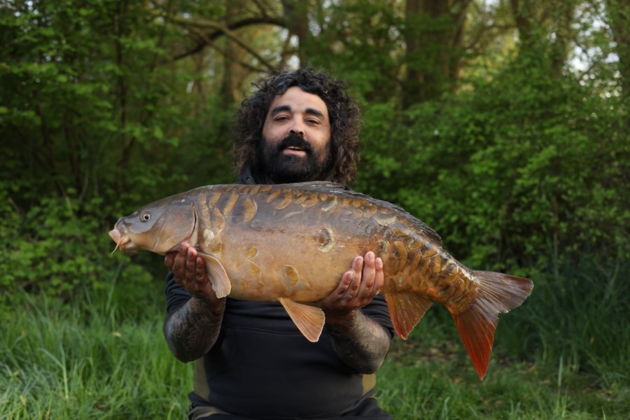 Alex Sheerin, 23lb 8oz, Turtles Corner, 19/04/2025