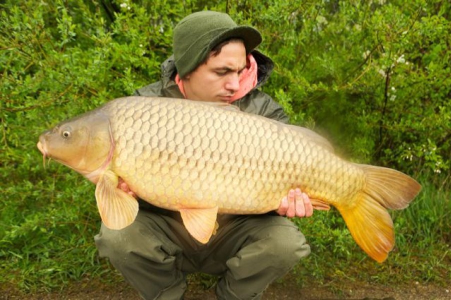 Tom Burns with a mint common