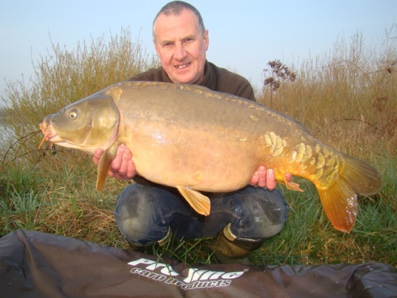 A scale perfect at 28lb+