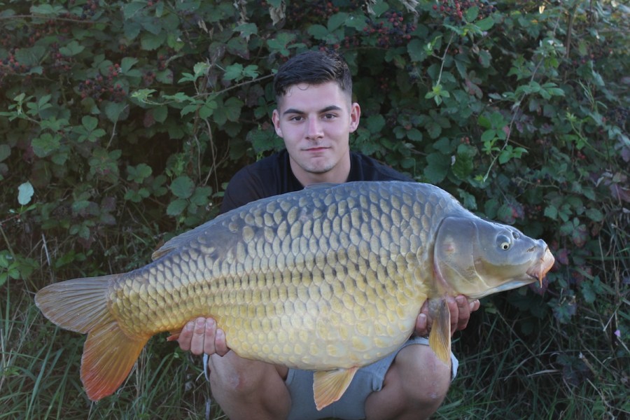 Jack with a 37.00lb Common