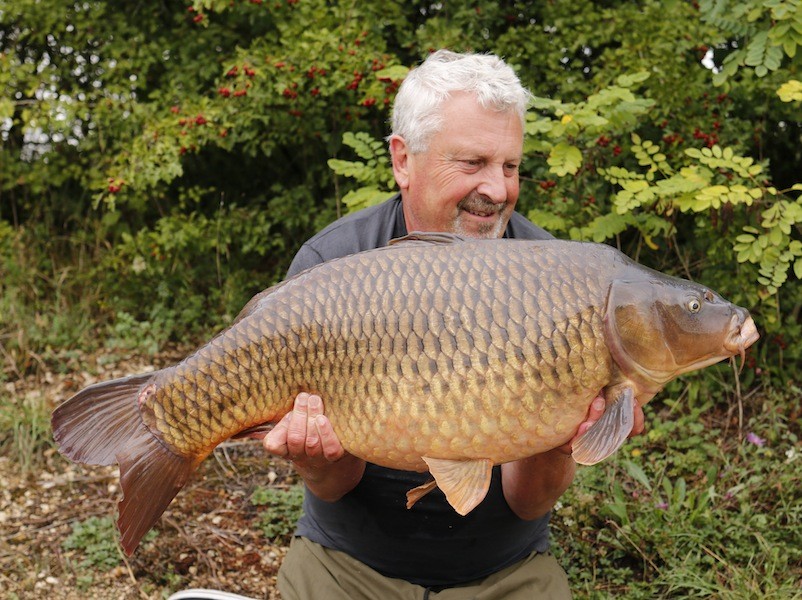 Lovely dark common for Clive