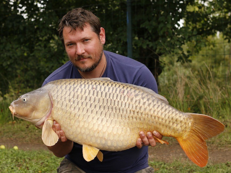 Busy Busy boy - Garth with a nice common