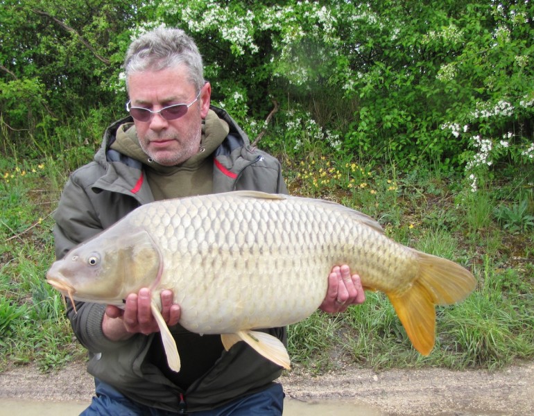 Seve with a Road Lake common