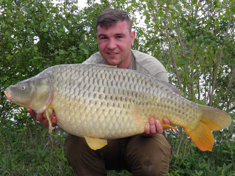 A 33.00lb from Birches