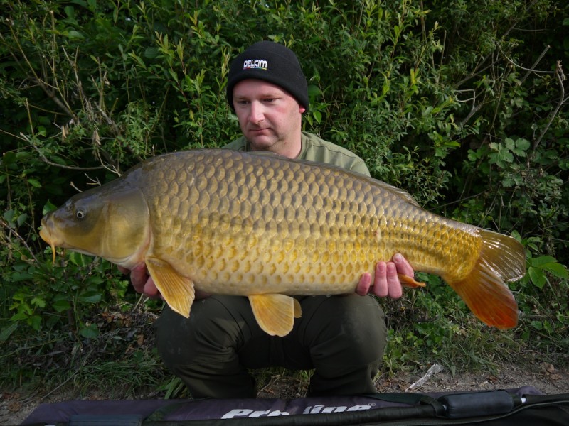 a nice mid 30lb common