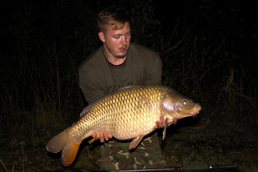 Ash with a 24lbs common