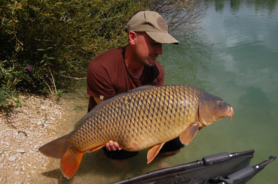 Just shy of 30lb but a cracking typical Road Lake common