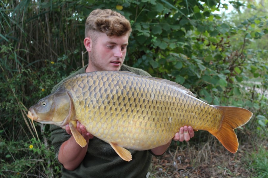 A typical Road Lake common