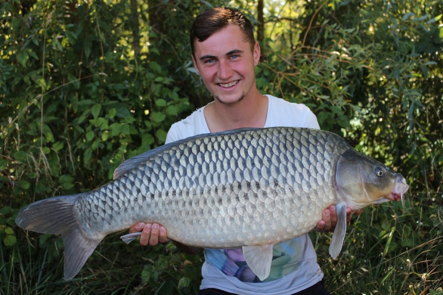 Harris with a mint Road Lake common